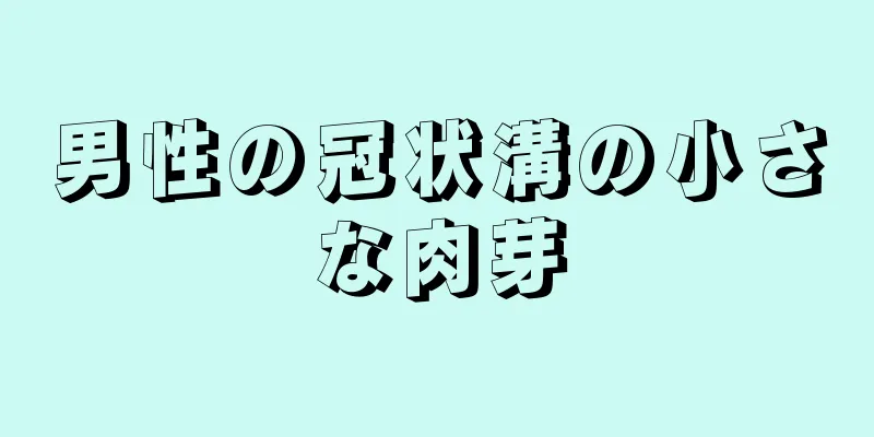男性の冠状溝の小さな肉芽