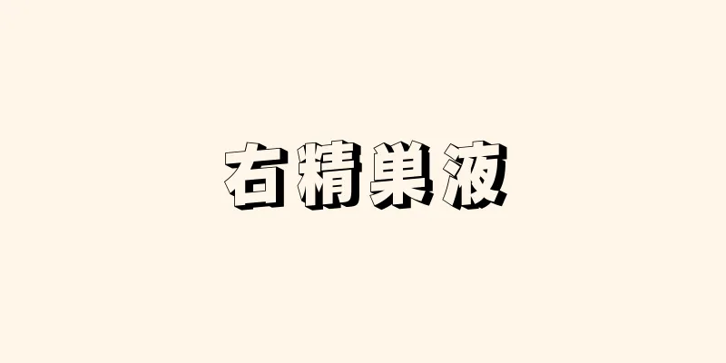右精巣液