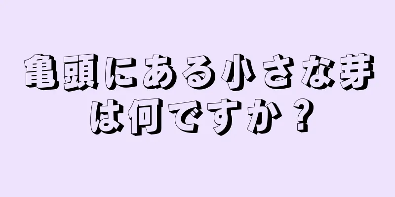 亀頭にある小さな芽は何ですか？