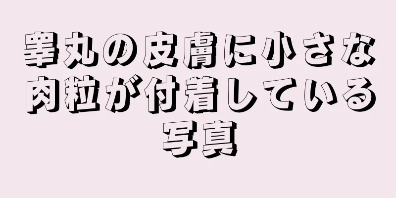 睾丸の皮膚に小さな肉粒が付着している写真