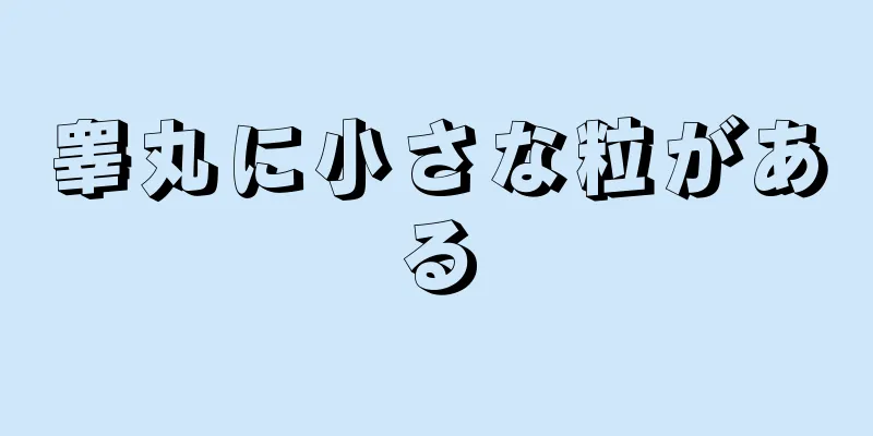 睾丸に小さな粒がある