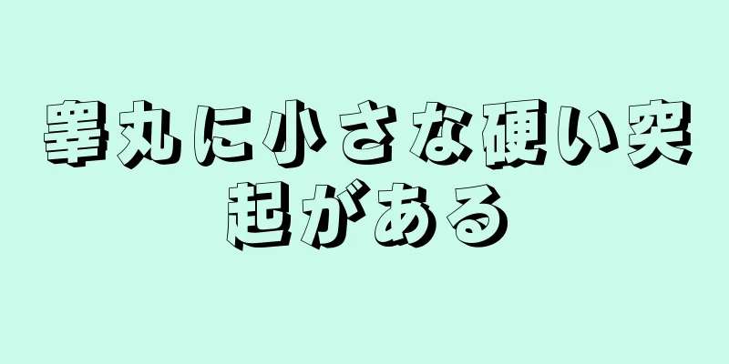 睾丸に小さな硬い突起がある