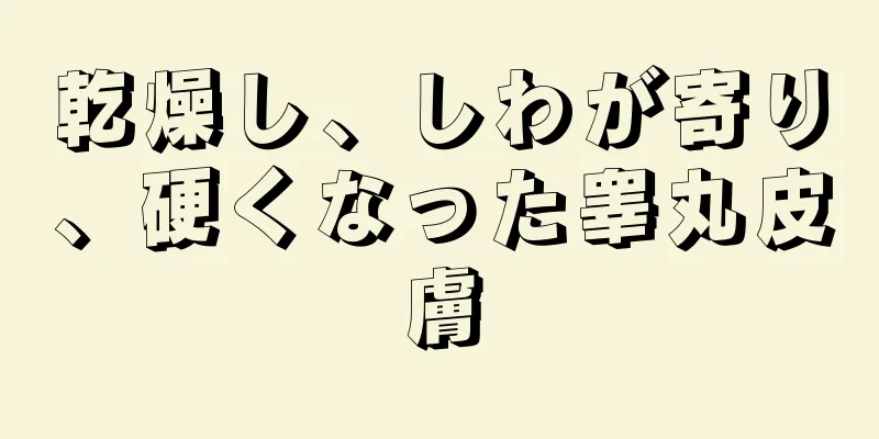 乾燥し、しわが寄り、硬くなった睾丸皮膚