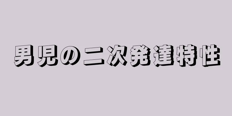 男児の二次発達特性