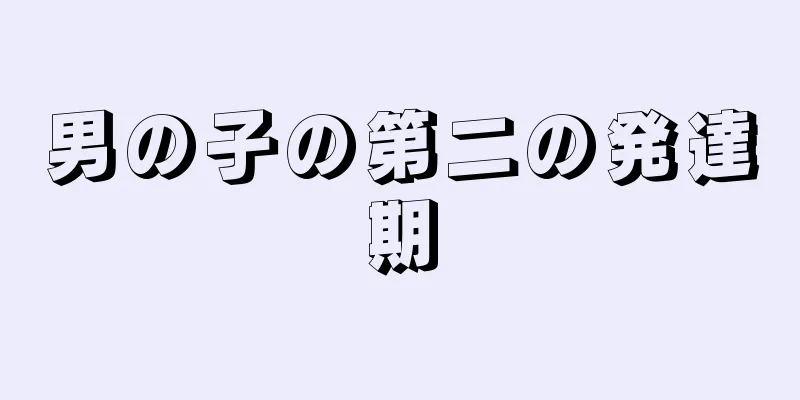 男の子の第二の発達期