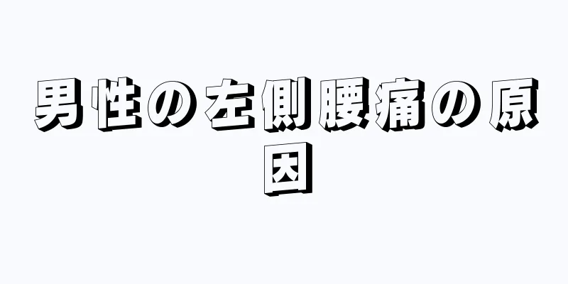 男性の左側腰痛の原因
