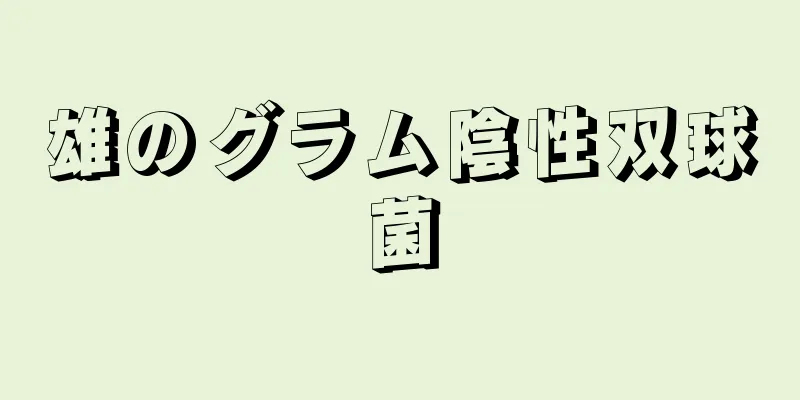 雄のグラム陰性双球菌