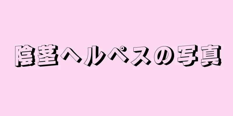 陰茎ヘルペスの写真