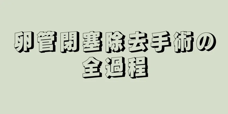 卵管閉塞除去手術の全過程
