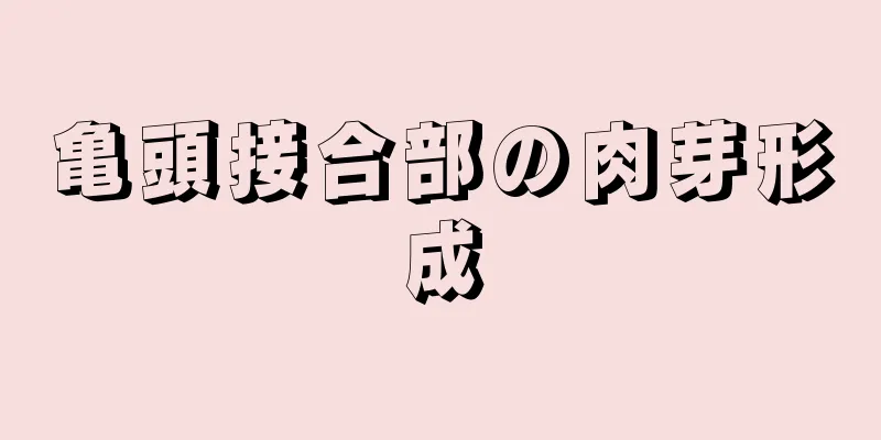 亀頭接合部の肉芽形成