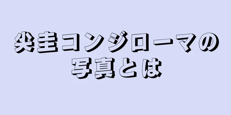 尖圭コンジローマの写真とは