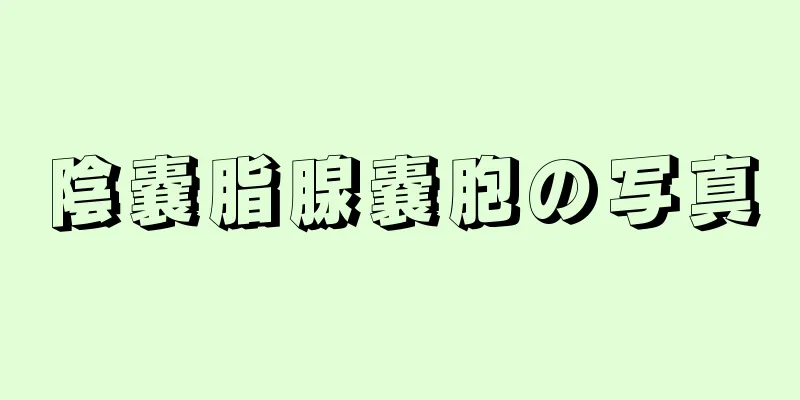 陰嚢脂腺嚢胞の写真