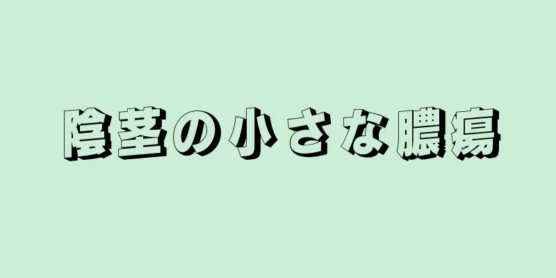 陰茎の小さな膿瘍