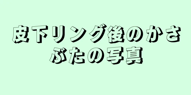 皮下リング後のかさぶたの写真