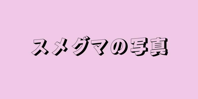 スメグマの写真