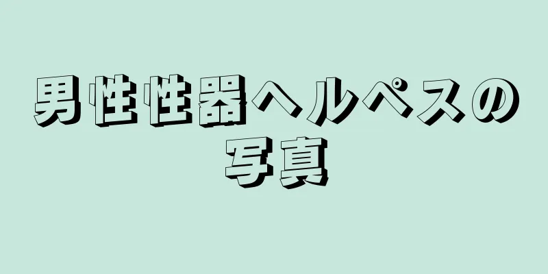 男性性器ヘルペスの写真