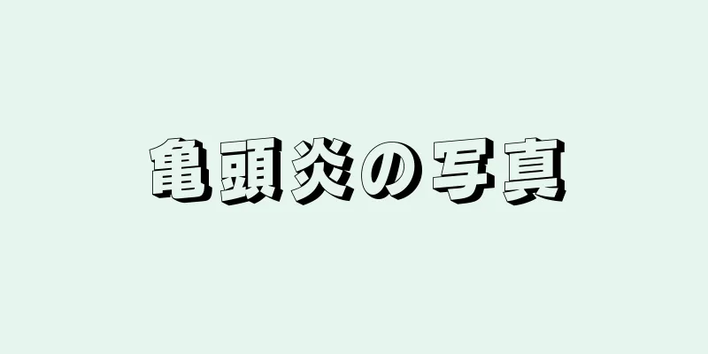 亀頭炎の写真
