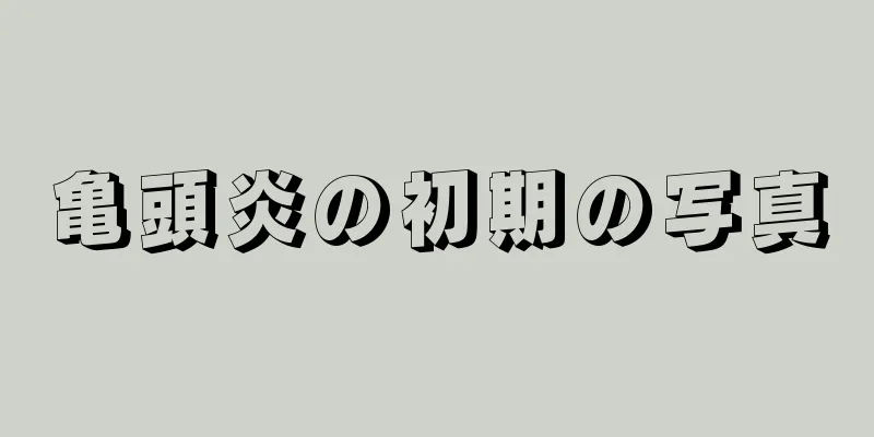 亀頭炎の初期の写真