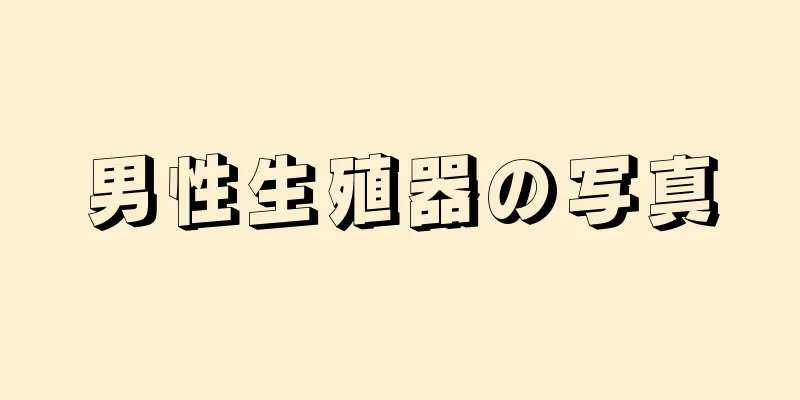 男性生殖器の写真