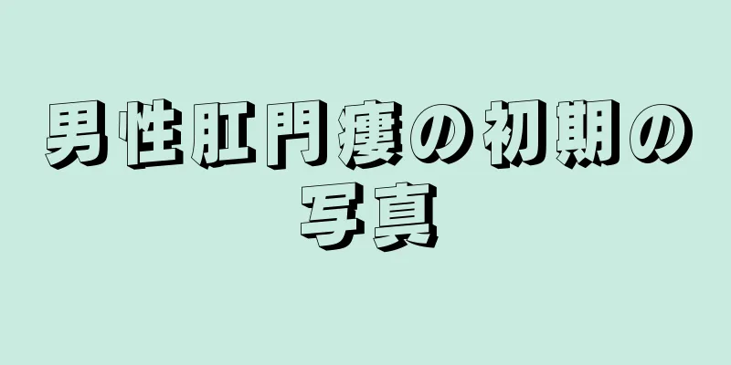 男性肛門瘻の初期の写真