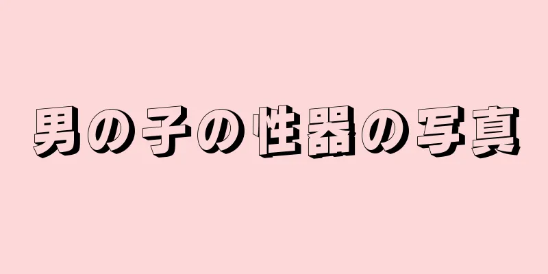 男の子の性器の写真