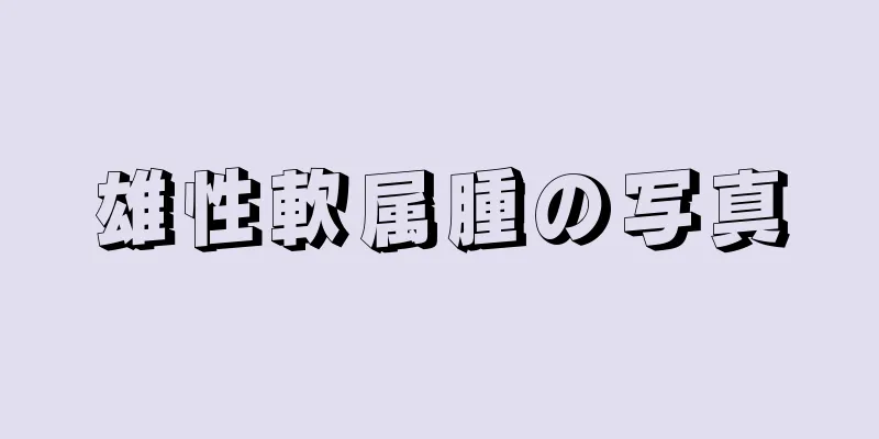 雄性軟属腫の写真