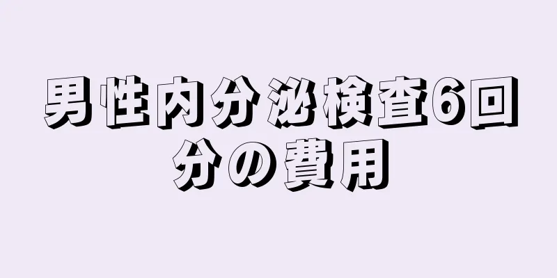 男性内分泌検査6回分の費用