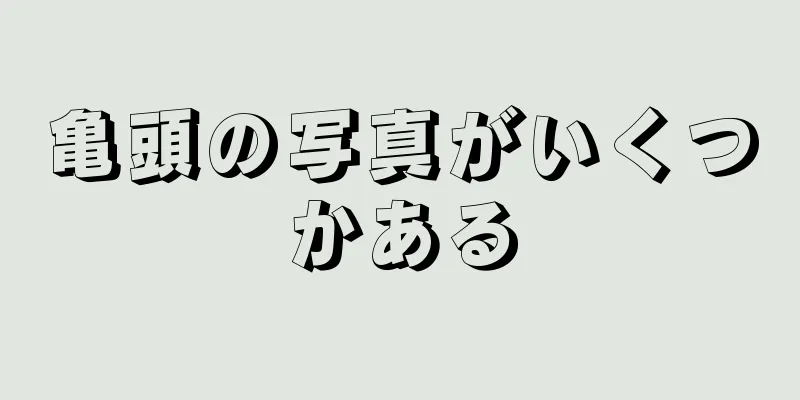 亀頭の写真がいくつかある