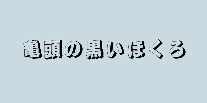 亀頭の黒いほくろ