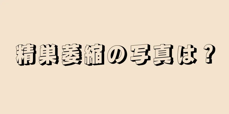 精巣萎縮の写真は？