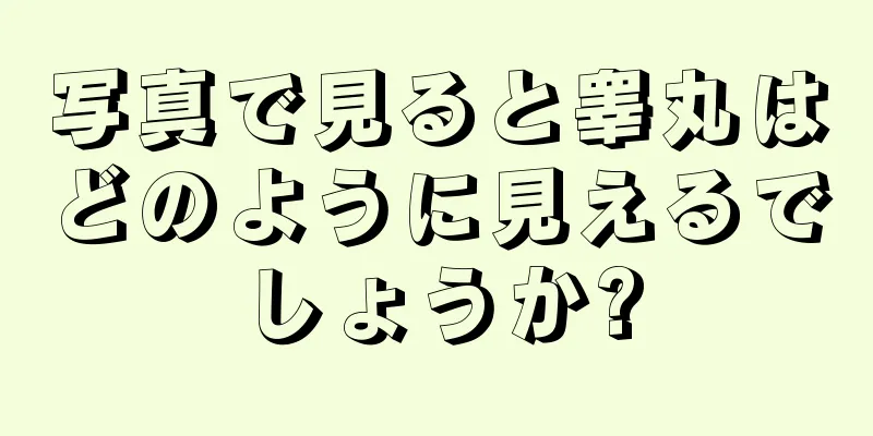 写真で見ると睾丸はどのように見えるでしょうか?