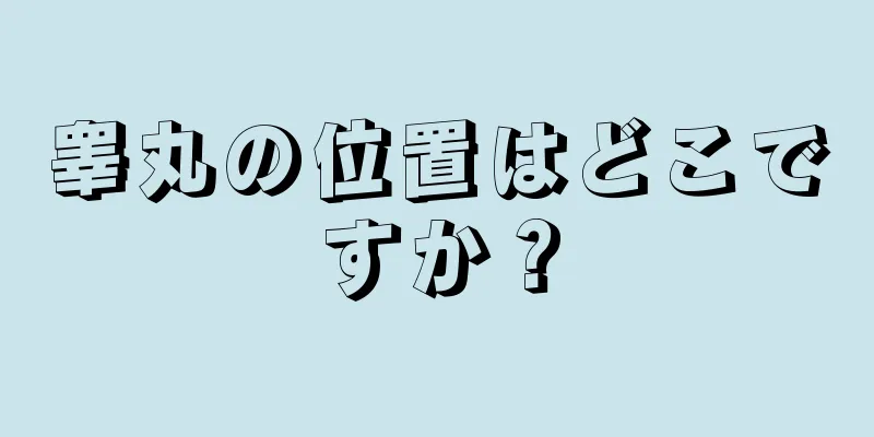 睾丸の位置はどこですか？