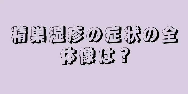 精巣湿疹の症状の全体像は？