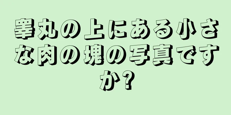 睾丸の上にある小さな肉の塊の写真ですか?