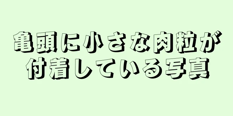 亀頭に小さな肉粒が付着している写真