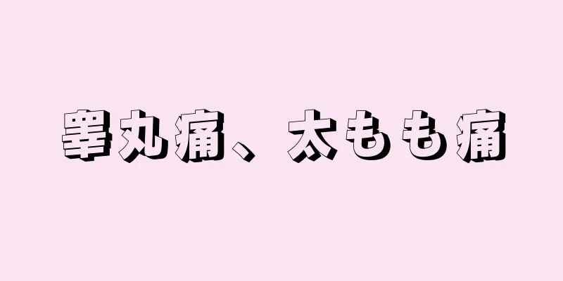 睾丸痛、太もも痛
