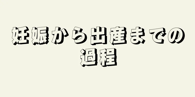 妊娠から出産までの過程