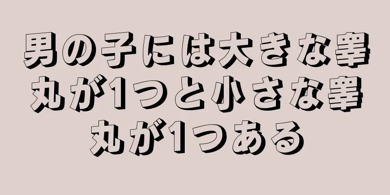 男の子には大きな睾丸が1つと小さな睾丸が1つある