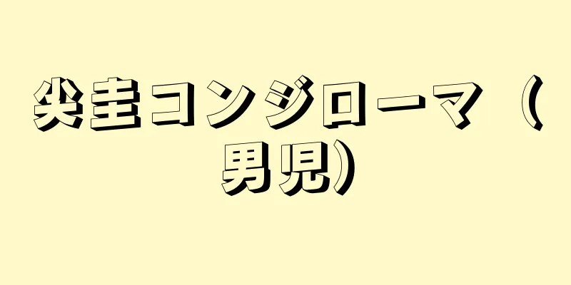尖圭コンジローマ（男児）