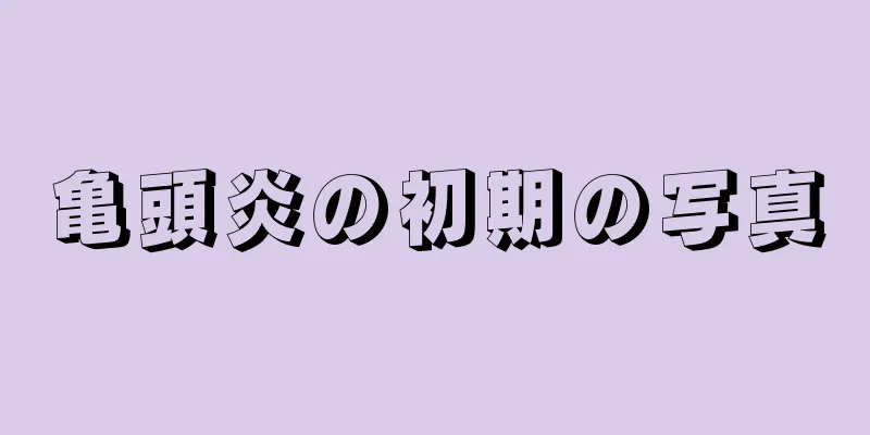 亀頭炎の初期の写真