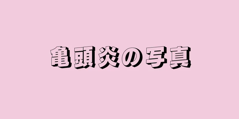 亀頭炎の写真