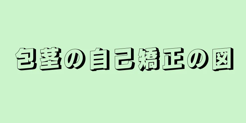 包茎の自己矯正の図