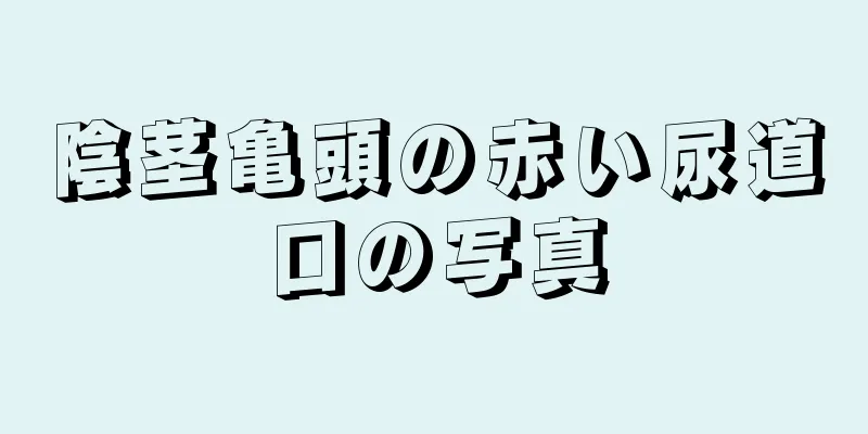 陰茎亀頭の赤い尿道口の写真