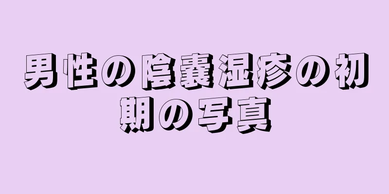 男性の陰嚢湿疹の初期の写真
