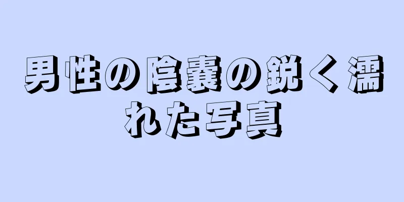 男性の陰嚢の鋭く濡れた写真