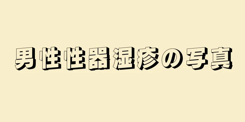 男性性器湿疹の写真