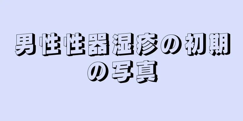 男性性器湿疹の初期の写真