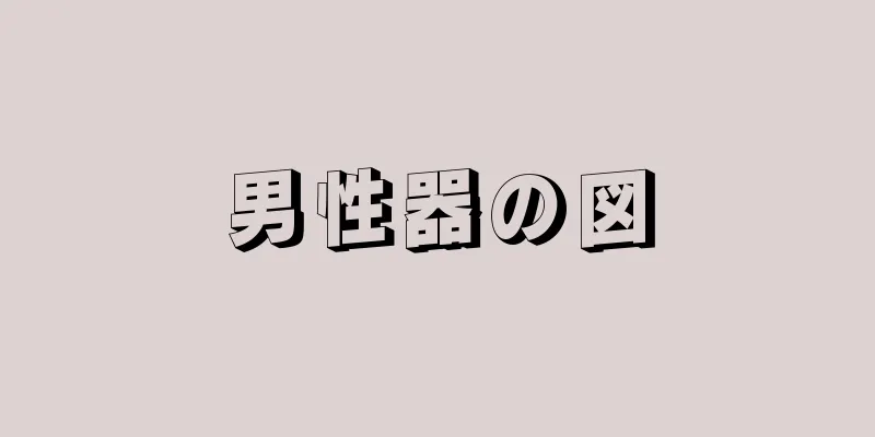 男性器の図