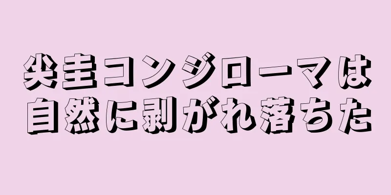 尖圭コンジローマは自然に剥がれ落ちた