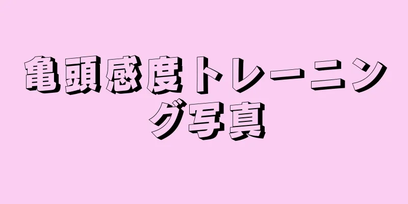 亀頭感度トレーニング写真